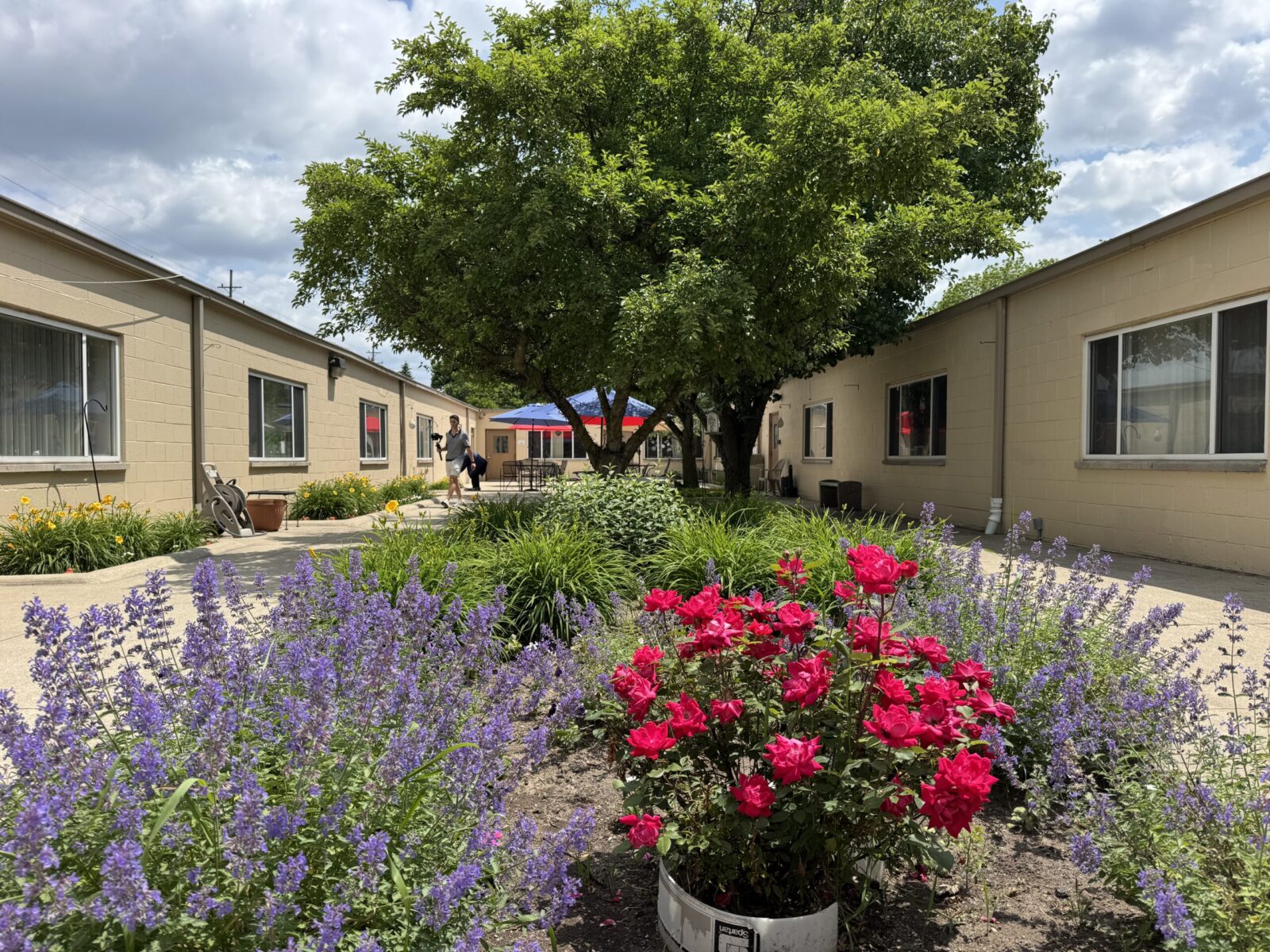 Courtyard patio in summer